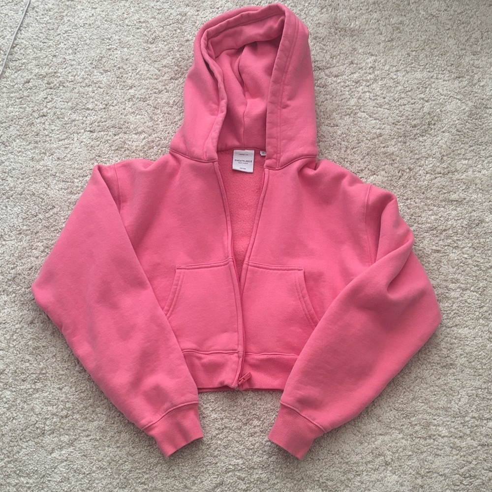 Aritzia Women's Pink Hoodie Jacket